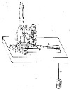 1854 Lipman Self-Feeding Eyelet Machine Patent US No. 11,260 OM.jpg (38726 bytes)